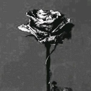 Meet your Posher, Khalif